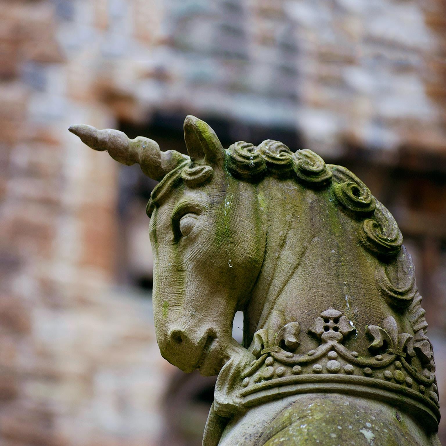 Grow fast or die slow Why unicorns are staying private McKinsey